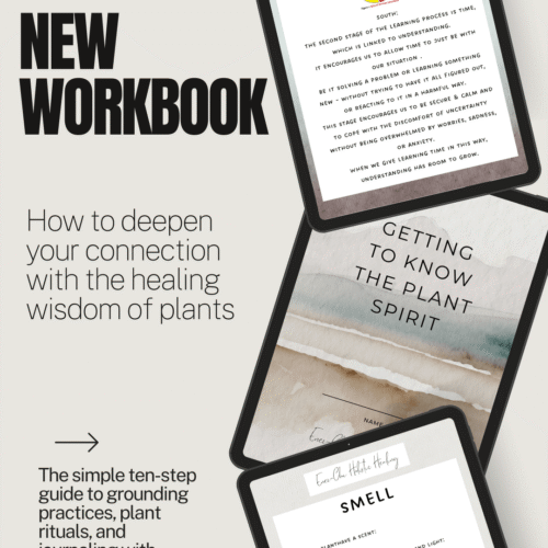 workbook social media prmotion -min ๐ฟ Plant Spirit Workbook โ Digital Download ๐ฟ